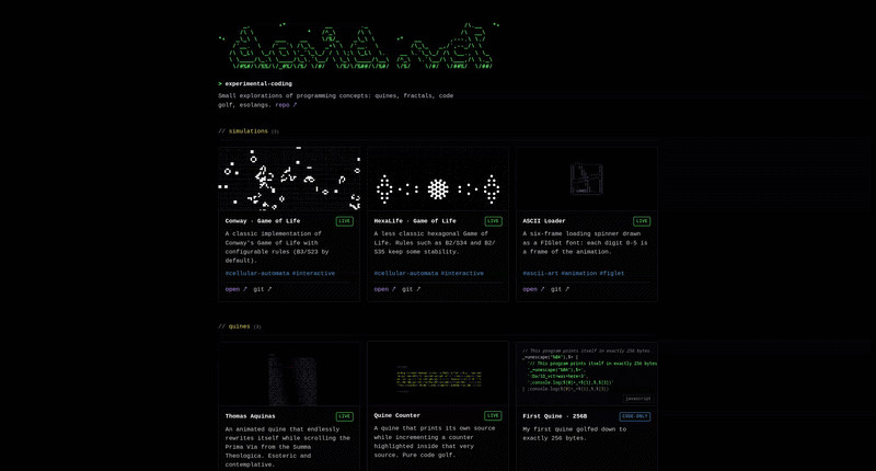 Experimental Coding : Page d’accueil de la galerie.
