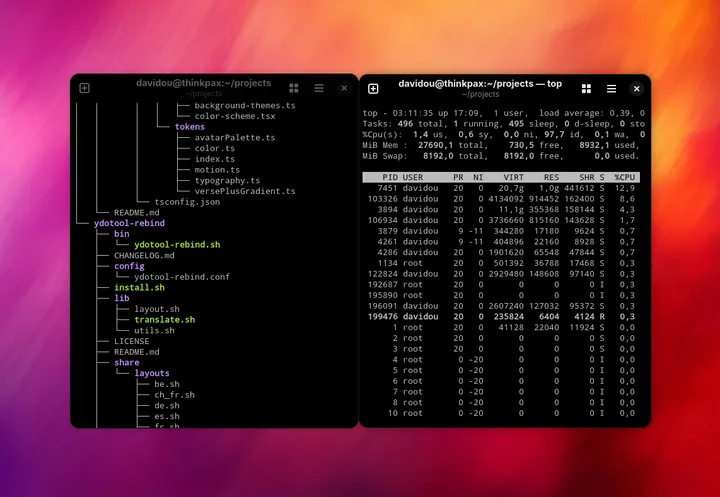 Ydotool Rebind : Linux terminal executing ydotool subrutine.